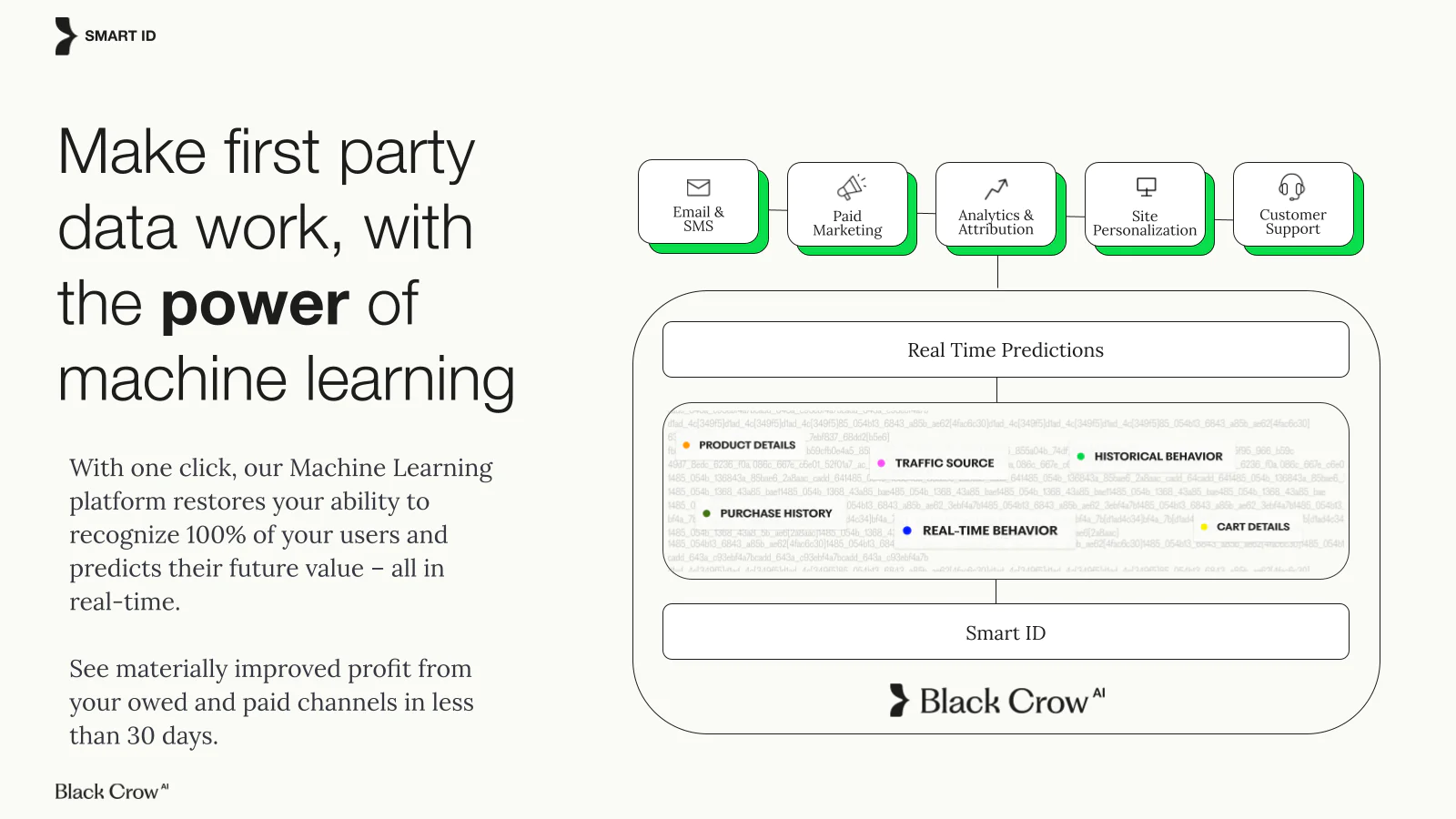 screenshot of Black Crow AI